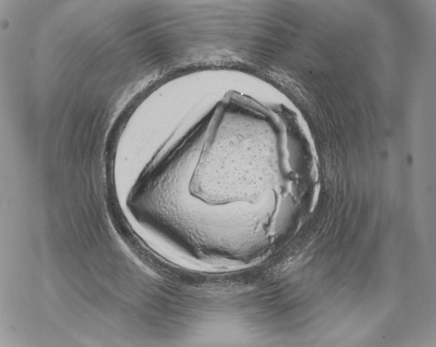 X0000069360630200606091602