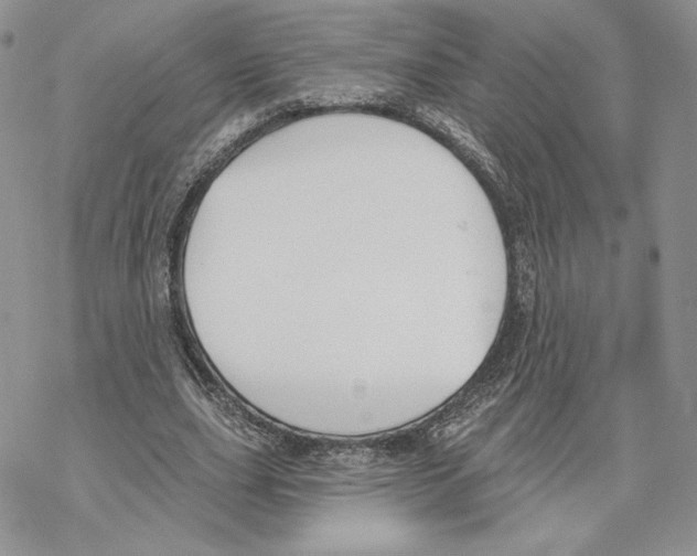 X0000069360631200606091602