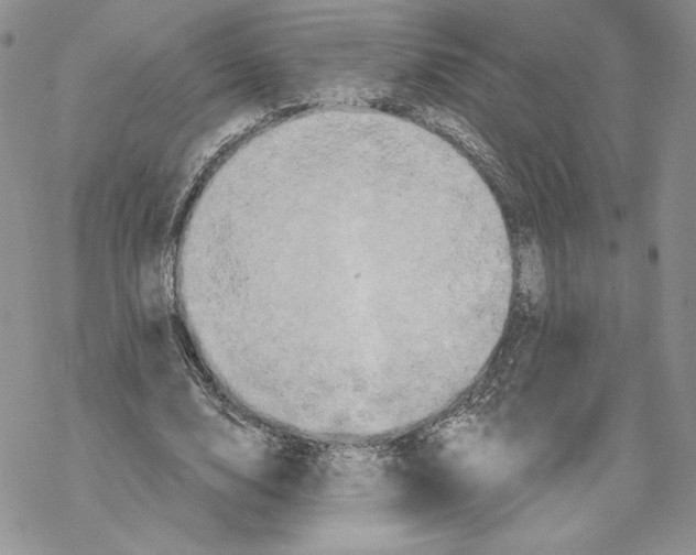 X0000069360632200606091602