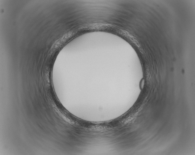 X0000069360633200606091602