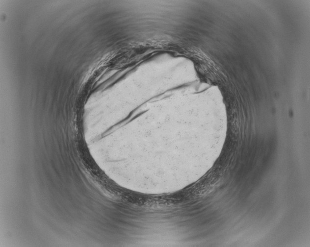 X0000069360634200606091602