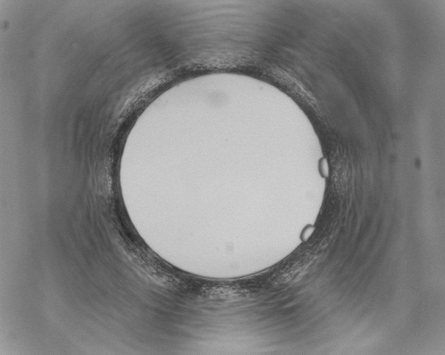 X0000069360635200606091602