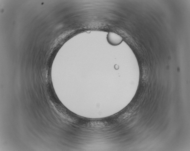 X0000069360636200606091602