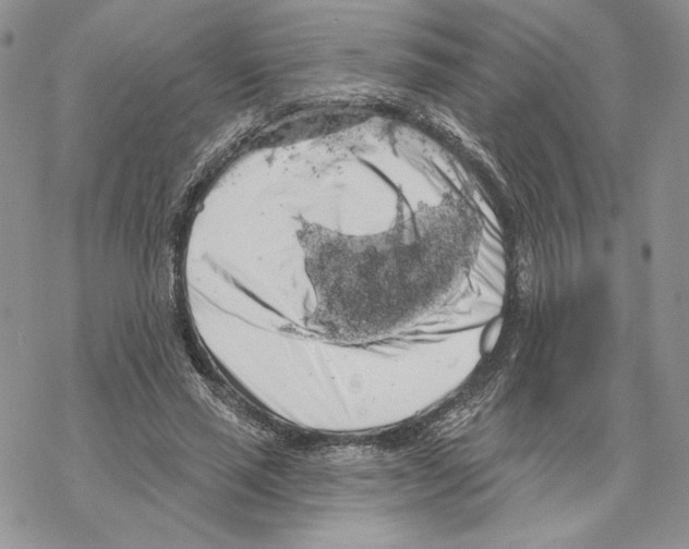 X0000069360637200606091602