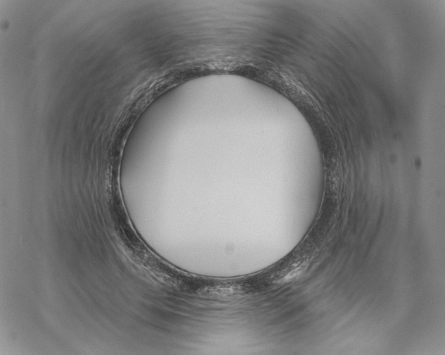 X0000069360639200606091602