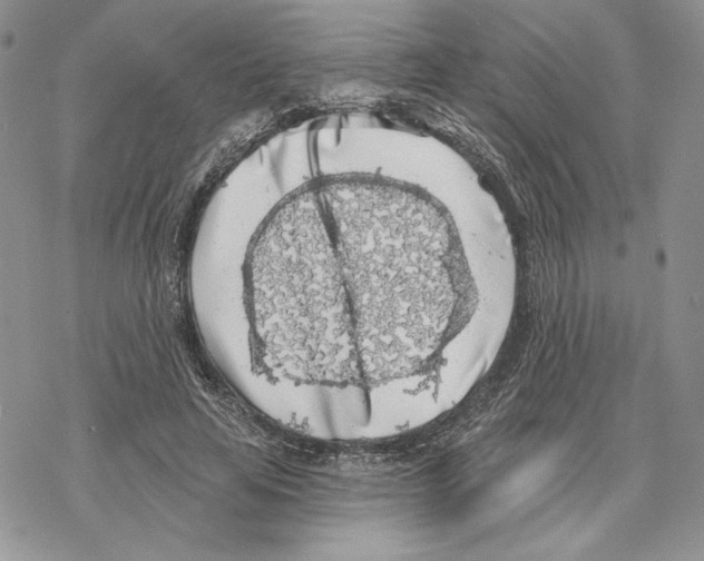 X0000069360641200606091602