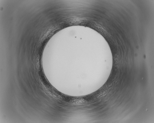 X0000069360642200606091602