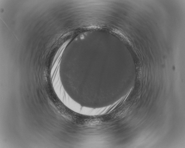 X0000069360643200606091602