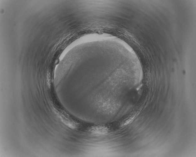 X0000069360644200606091602