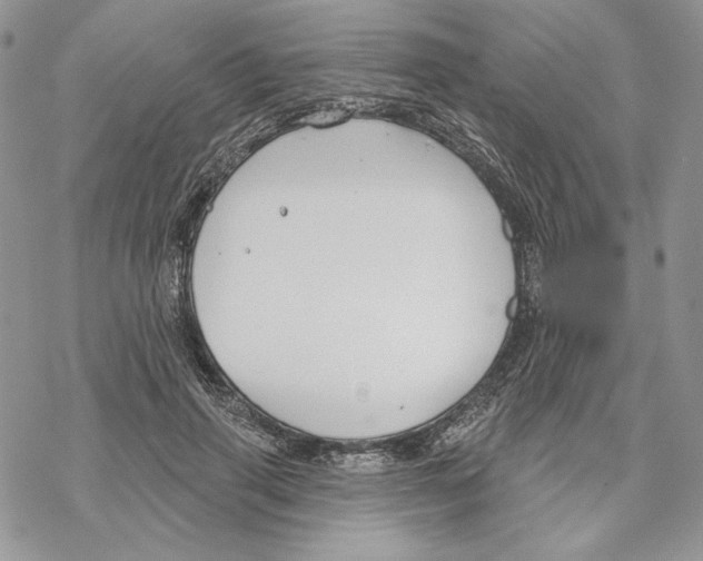 X0000069360645200606091602