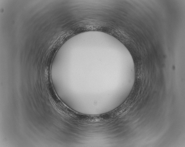 X0000069360646200606091602