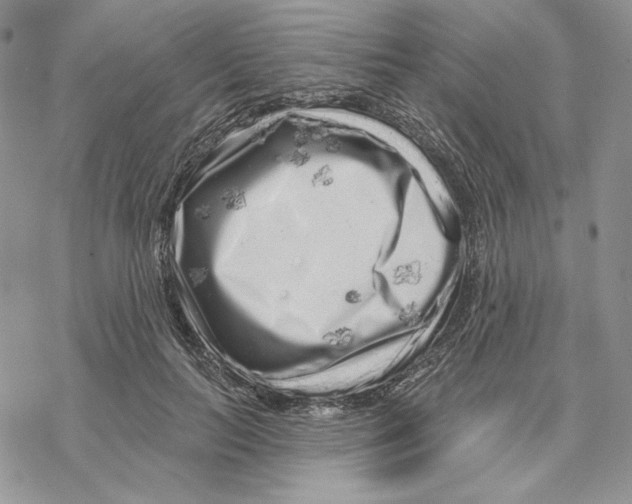 X0000069360647200606091602