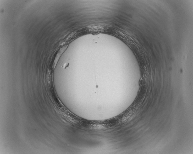 X0000069360649200606091602