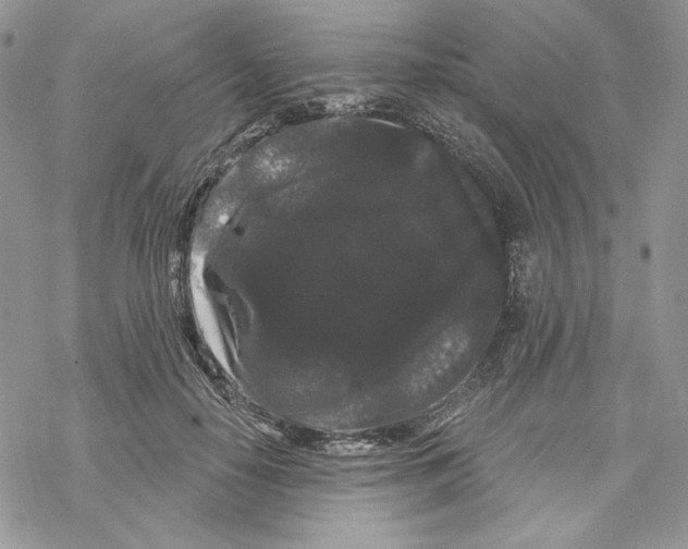 X0000069360650200606091602