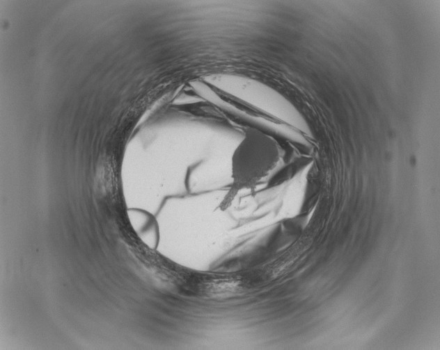 X0000069360651200606091602