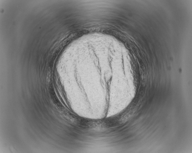 X0000069360652200606091602