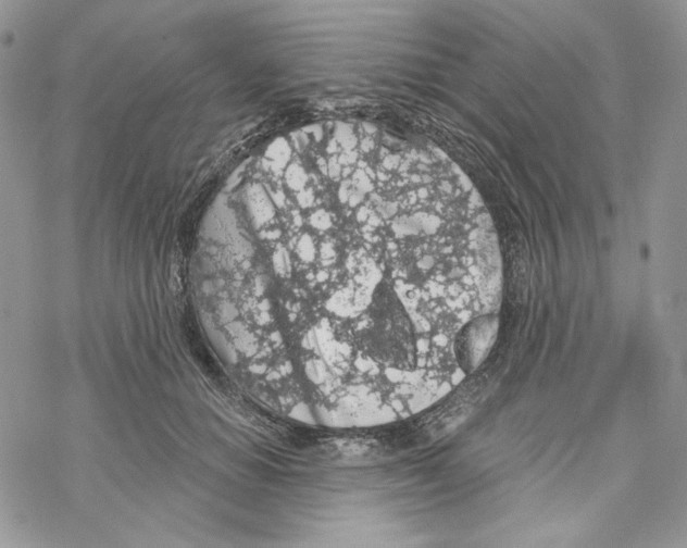 X0000069360654200606091602