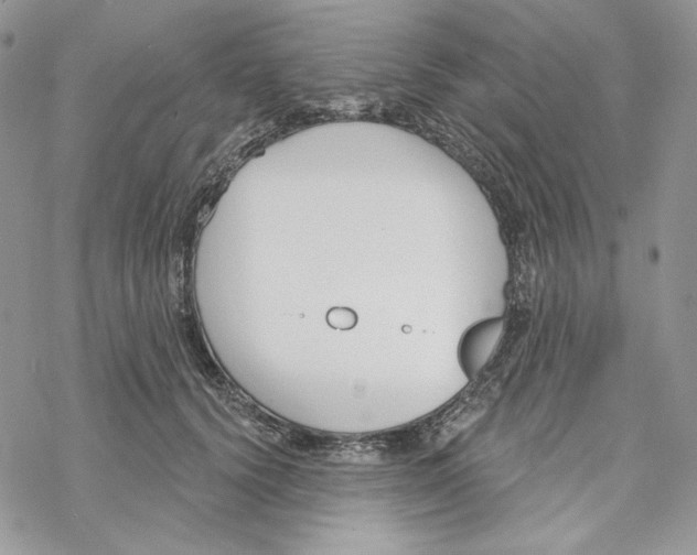 X0000069360656200606091602