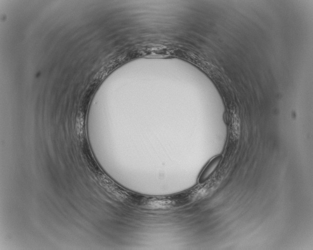 X0000069360657200606091602