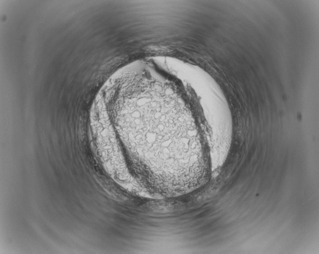 X0000069360658200606091602