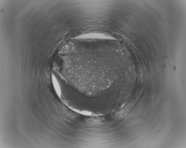 X0000069360661200606091602