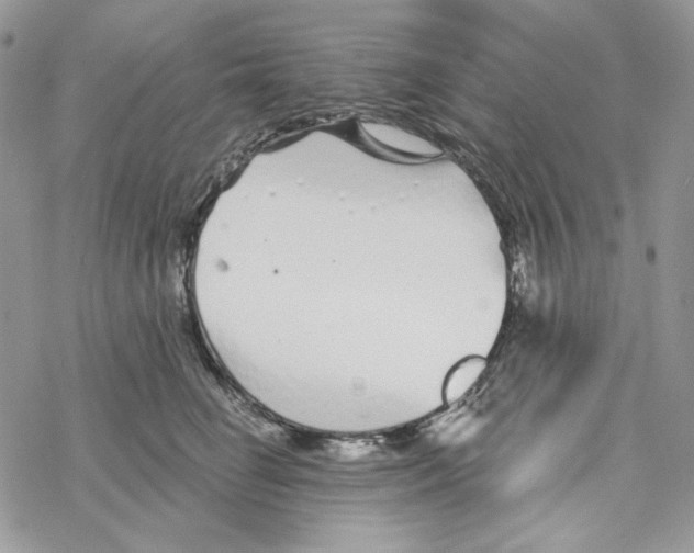 X0000069360662200606091602