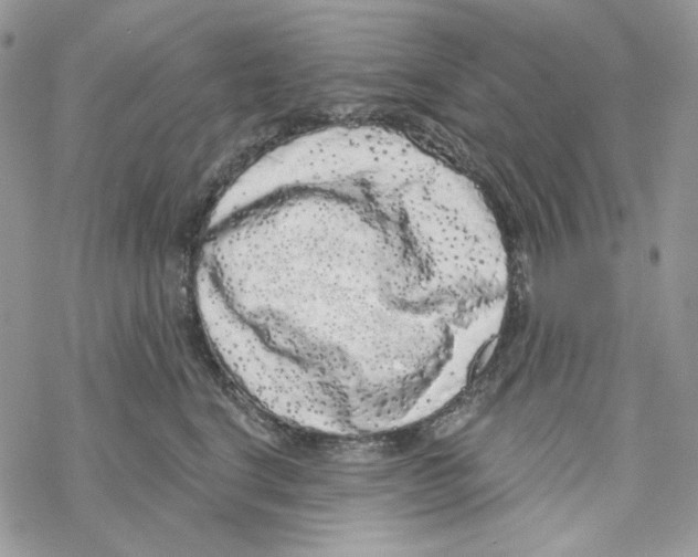 X0000069360664200606091602