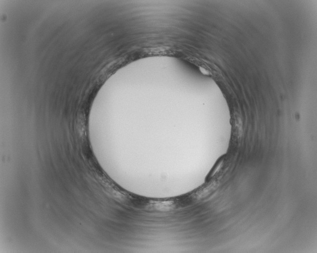 X0000069360665200606091602