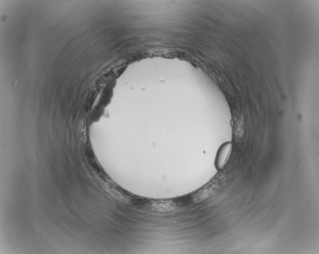 X0000069360666200606091602