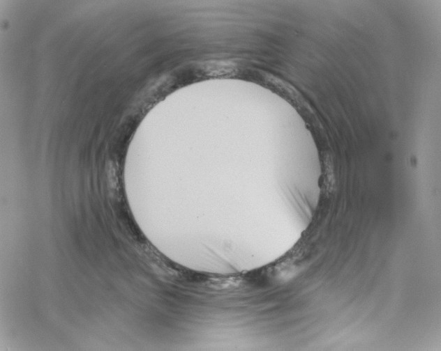 X0000069360667200606091602