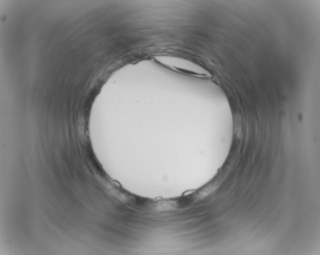 X0000069360670200606091602