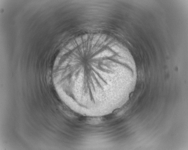 X0000069360671200606091602