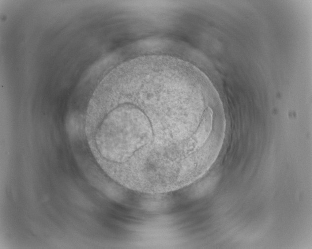 X0000069360672200606091602