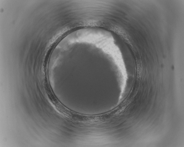 X0000069360674200606091602