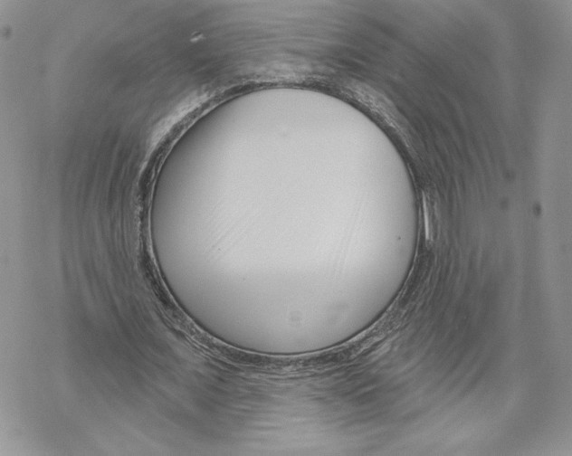 X0000069360675200606091601