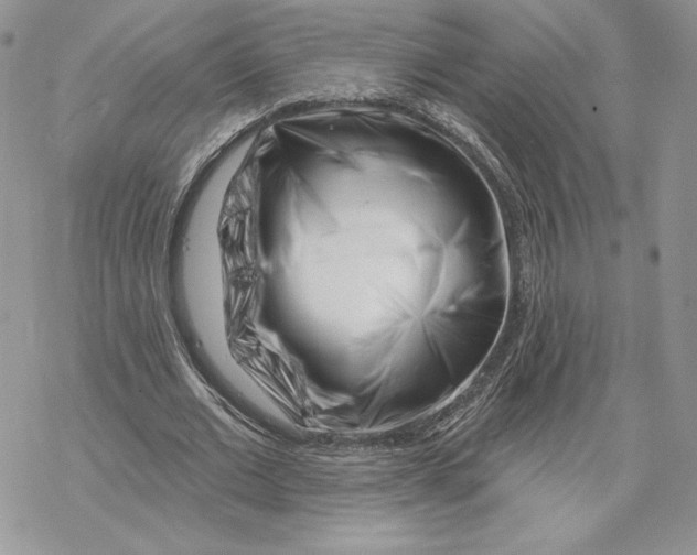 X0000069360677200606091601