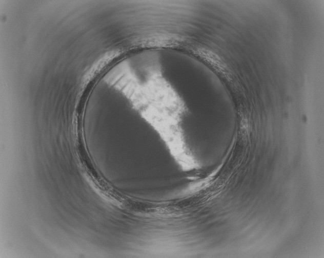 X0000069360678200606091601