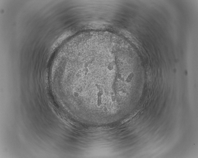 X0000069360679200606091601