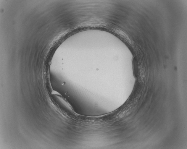 X0000069360680200606091601