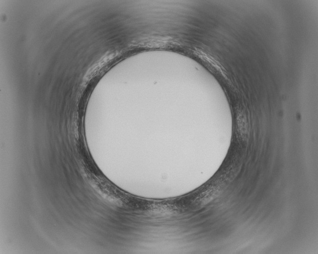 X0000069360682200606091601