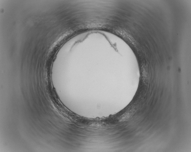 X0000069360684200606091601