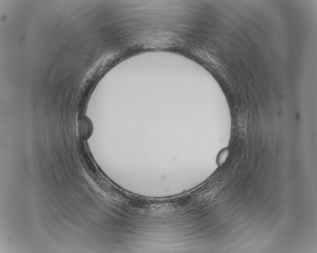 X0000069360686200606091601