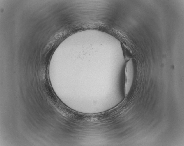 X0000069360687200606091601