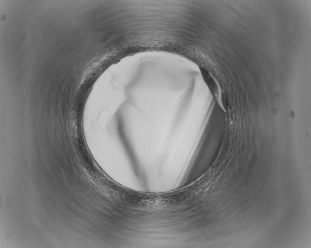 X0000069360688200606091601