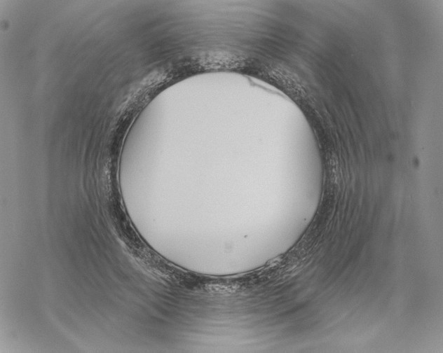 X0000069360690200606091601