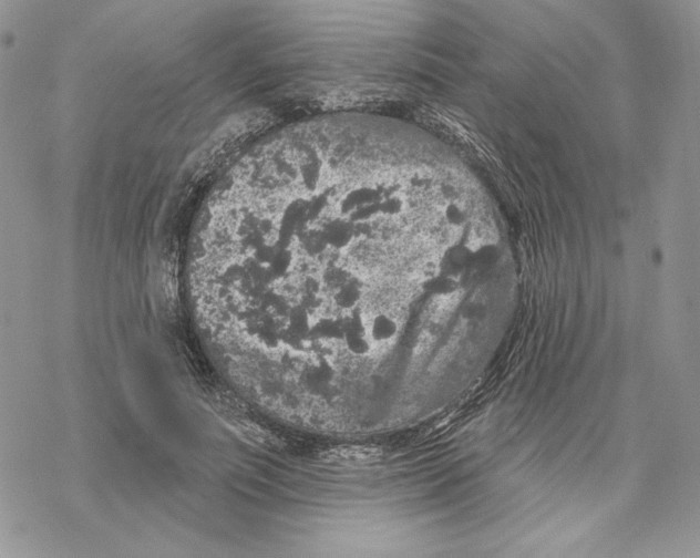 X0000069360691200606091601