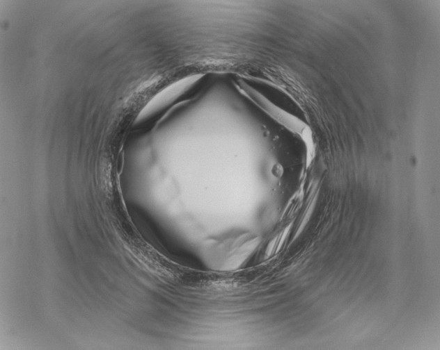 X0000069360692200606091601