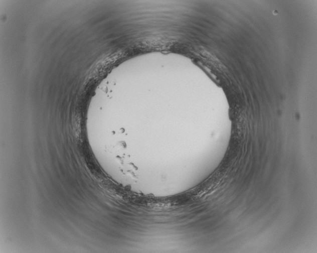 X0000069360693200606091601