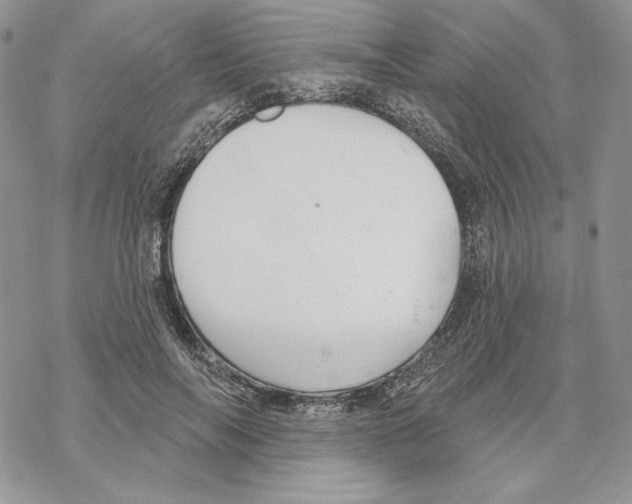 X0000069360694200606091601