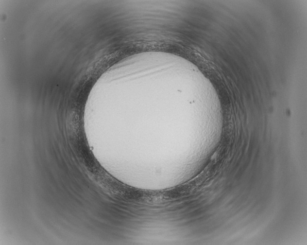 X0000069360695200606091601